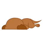 👌 動物, 横たわる, 疲労困憊, 睡眠 telegram sticker