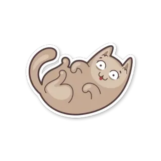 😀 gatto, cartone animato, divertente, adesivo, gesto offensivo telegram sticker