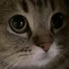 🥺