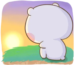 🐽 Desenho animado, Fofo, Urso, Grama, Pôr do sol telegram sticker