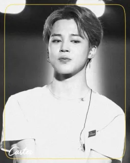 ◾️ Carter kpop, jimin, bts, retrato, música whatsapp sticker