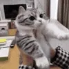 🤗