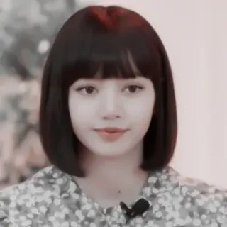 🙂 Lisa K-pop, Lisa, Blackpink, Chanteuse, Célébrité, Idole telegram sticker