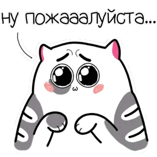 🙇‍♂ НУ ПОЖАААЛУЙСТА.... Katze, süß, flehend, betteln, Sticker, animiert, Cartoon telegram sticker