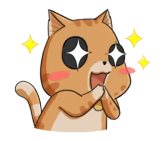 😳 Katze, süß, aufgeregt, funkelnd, glücklich, Emoji telegram sticker