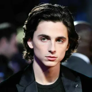 🦇 Timothée Chalamet actor, celebridad, Timothée Chalamet, retrato telegram sticker