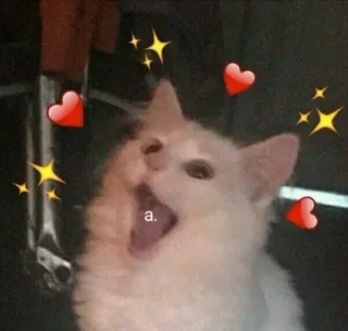 ❤ a. кот, милый, мем, смешной, животное, блестки, сердечки telegram sticker