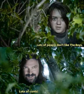 😂 The Boys Lots of people don't like The Boys.
Lots of cunts! The Boys, Meme, Série TV, Palavrão, Paródia telegram sticker