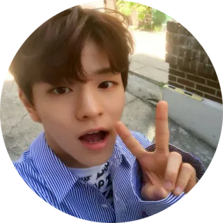 ✌️ person, selfie, youth, Korean, teen telegram sticker