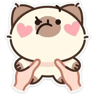 🐱 Katze, niedlich, Herz, wütend, kawaii, Aufkleber telegram sticker