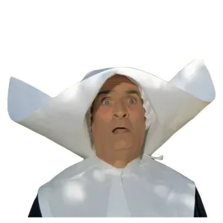 🙄 человек, монахиня, сюрприз, религиозный, женщина whatsapp sticker