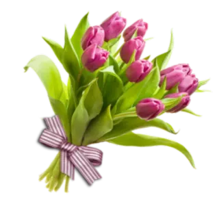 🌺 flowers, tulips, bouquet, floral, gift, spring, pink telegram sticker