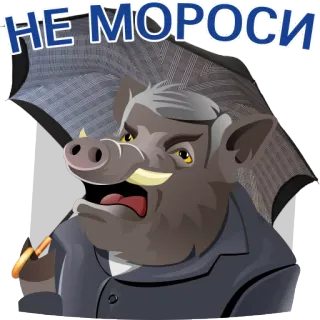 🤨 НЕ МОРОСИ pig, russian, umbrella, angry, text, cartoon telegram sticker