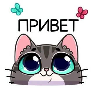 👋 ПРИВЕТ kucing, lucu, halo, kupu-kupu, stiker, binatang, kartun whatsapp sticker