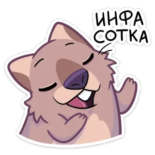 👌 ИНФЯСОТКА wombat, fofo, animal, desenho animado, feliz, adesivo telegram sticker