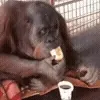 ☕️