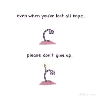 🐝 even when you've lost all hope,
please don't give up. надежда, мотивация, вдохновение, цветок, растение, поддержка whatsapp sticker