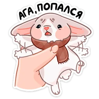Зимние Обнизайки @TgSticker telegram stickers