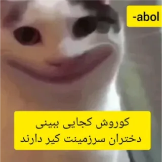 😐 کوروش کجایی ببینی دختران سرزمینت کیر دارند telegram sticker