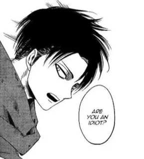 🤫 Levi Ackerman Attack on Titan ARE YOU AN IDIOT? attack on titan, anime, levi ackerman, manga, quote, idiot telegram sticker