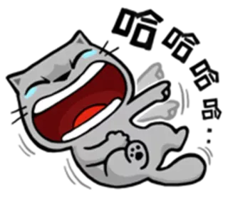 😂 Katze, lachen, weinen, rollen, lustig, meme, tier whatsapp sticker