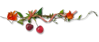 😵 flowers, cherries, bow, floral decoration, nature, plant whatsapp sticker