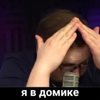 🙈 Я в домике expression, russian, meme, quote, head, hands telegram sticker