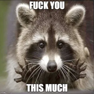 🖕 FUCK YOU
THIS MUCH Mapache, Meme, Ofensivo, Divertido, Animal whatsapp sticker