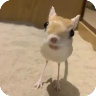 Больше стиков тут: @stikery4 whatsapp stickers