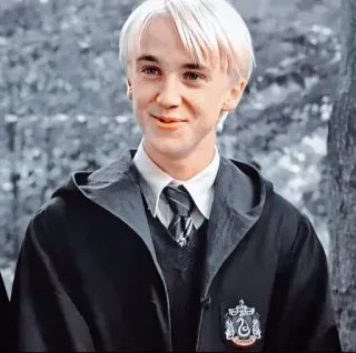 😚 Draco Malfoy Harry Potter Draco Malfoy, Harry Potter, Sonserina, mago, personagem, ficção telegram sticker