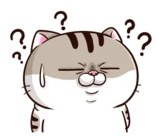 🤨 cat, confused, question marks, expression, sticker telegram sticker