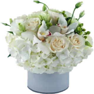 🌸 hoa, trắng, hoa hồng, cẩm tú cầu, cắm hoa, bó hoa, hoa lan telegram sticker