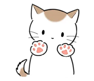 ✋ gatto, gattino, carino, animale, animale domestico telegram sticker