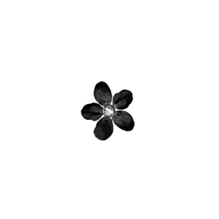 🌻 flor, floral, blanco y negro, minimalista whatsapp sticker