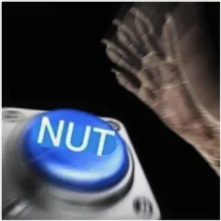 💦 NUT button, nuss, meme, lustig telegram sticker