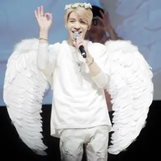 😇 anjo, asas, cantor, pessoa, branco telegram sticker