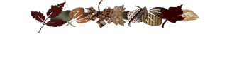 〰 잎, 가을, 가을, 장식, 시즌 telegram sticker