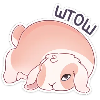 ☹️ WTOL coelho, desenho animado, fofo, animal, deitado whatsapp sticker