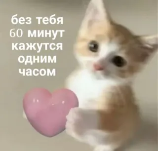 😶‍🌫️ без тебя
60 минут кажутся
одним часом 猫, ハート, 愛, かわいい, ロマンチック whatsapp sticker