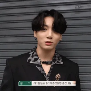 🕸 Jeon Jungkook 정국 여러분들도 좋아해주셨으면 좋겠네요 pessoa, homem, asiático, kpop, cantor, música telegram sticker