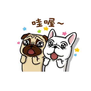 🙀 哇喔～ hond, mopshond, cartoon, schattig, dier, emoji telegram sticker