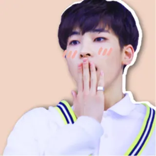 😨 kpop, cute, idol, kiss, hand, boy telegram sticker