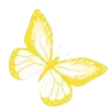 🦋