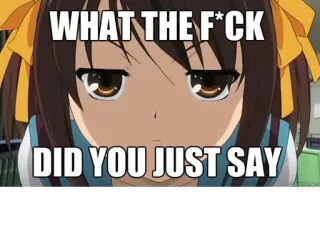😐 WHAT THE F*CK DID YOU JUST SAY Animé, Mème, Offensant, Texte telegram sticker