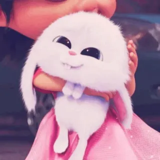 ☁️ Snowball The Secret Life of Pets lapin, lapinou, mignon, animal, dessin animé whatsapp sticker