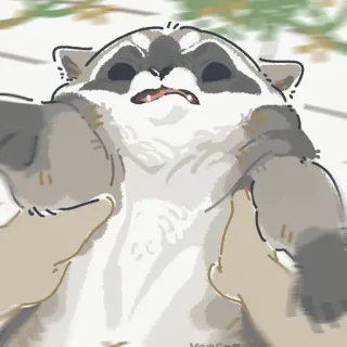😡 raccoon, animal, cute, funny, chubby telegram sticker