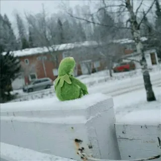 💚 Kermit Kermit the Frog, puppet, sad, snow, winter, muppet telegram sticker