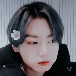 🌟 BLUE KVR osoba, mężczyzna, kwiat, portret, niebieski, kvr whatsapp sticker