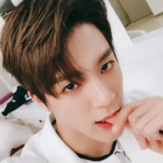 🤟 chân dung, người, nam, đàn ông, người châu á, selfie, người Hàn Quốc telegram sticker