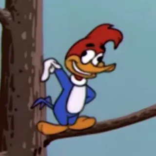 🥴 Woody Woodpecker การ์ตูน, นก, วู้ดดี้ วู้ดเพ็คเกอร์, แอนิเมชั่น, ตัวละคร telegram sticker